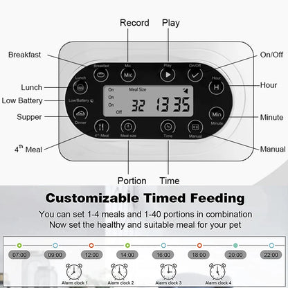 Gadget Kingdom™ Dual Bowl Automatic Feeder – Stainless Steel Pet Feeder with Recording & Timed Feeding