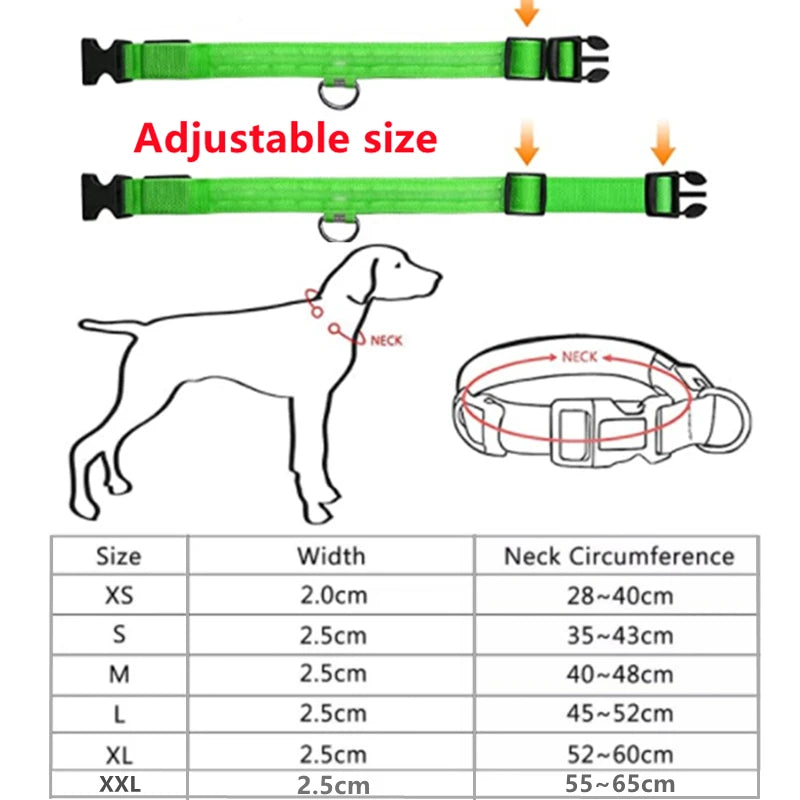 Led Dog Collar Light Anti-lost Collar For Dogs Puppies Night Luminous Supplies Pet Products Accessories USB Charging/Battery