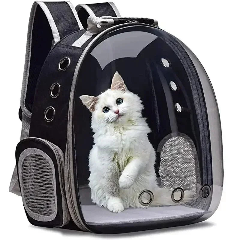 Transparent Bubble Backpack for Cats - Stylish Pet Carrier with Comfortable Space for Your Furry Friend