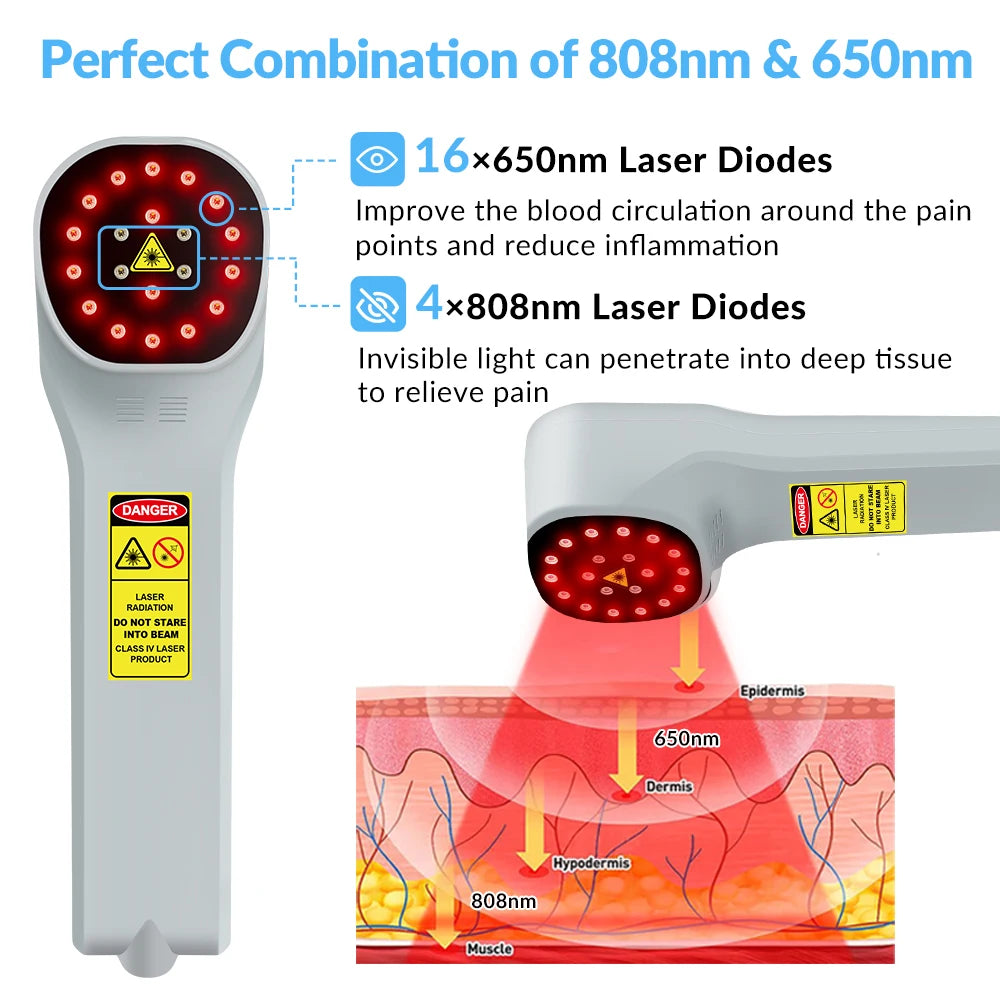 Cold Laser Therapy Vet Device for Pets 4x808nm Red Light Devices  Therapy for Dogs Cats Horses