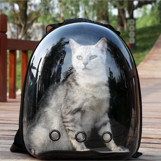 Transparent Space Capsule Cat Backpack – Breathable Portable Pet Carrier for Cats and Small Dogs